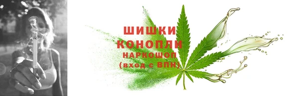 сатива Абдулино