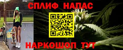 гидропоника Брянск