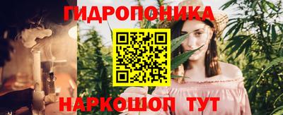 apvp Канаш