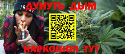 apvp Канаш