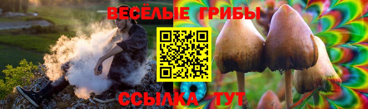 Галлюциногенные грибы Psilocybine cubensis Лысьва